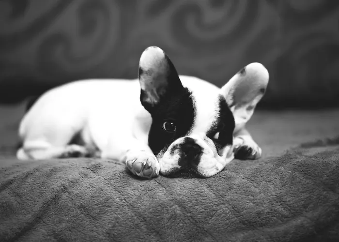 库克斯港斯塔德特酒店 酒店 3*